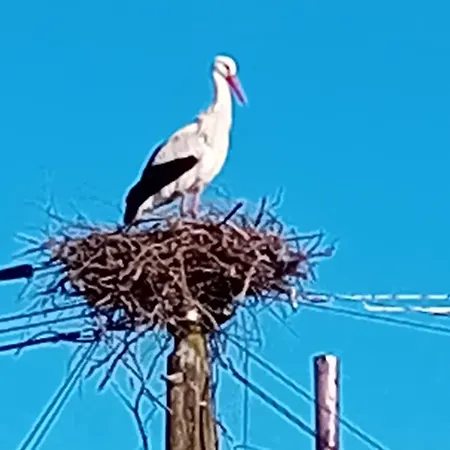 Konukevi Dhotes Logette