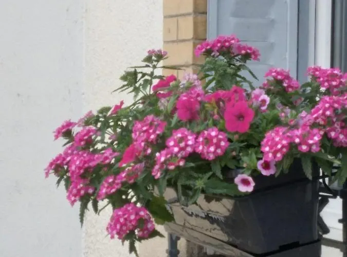 Gasthof Dhotes Logette