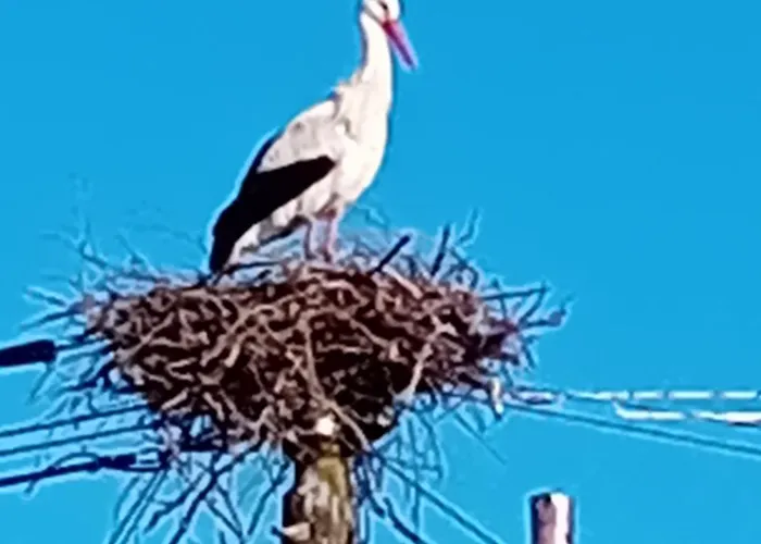 Konukevi Dhotes Logette